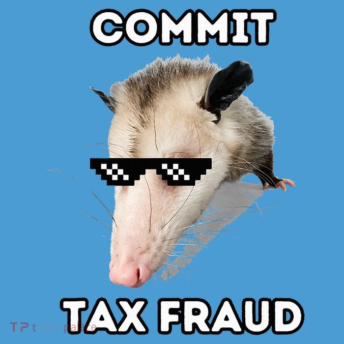 Commit Tax Fraud Tie Dye Hoodie
