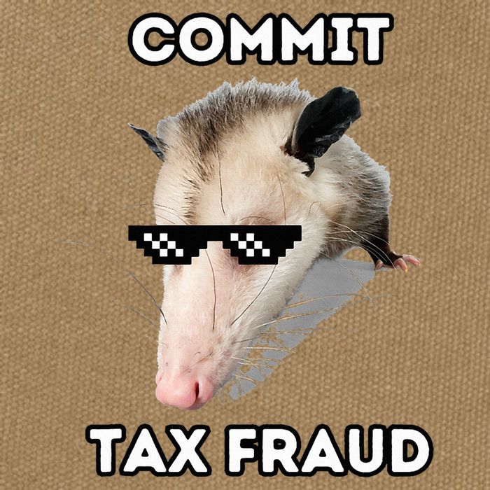 Commit Tax Fraud Cotton Canvas Backpack
