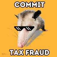 Commit Tax Fraud Sustainable Knit Beanie