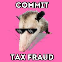 Commit Tax Fraud Stripe Pom Pom Beanie