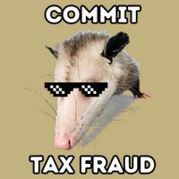 Commit Tax Fraud Hoodie