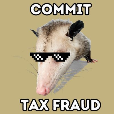 Commit Tax Fraud T-Shirt
