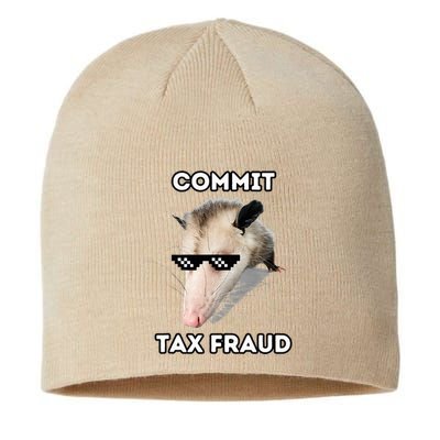 Commit Tax Fraud Sustainable Beanie