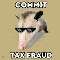 Commit Tax Fraud Sustainable Beanie
