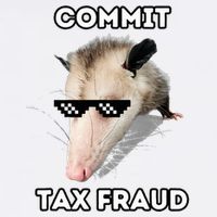 Commit Tax Fraud Flat Bill Trucker Hat