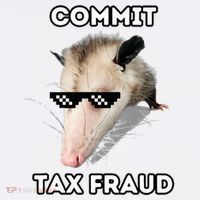 Commit Tax Fraud Womens Tank Top