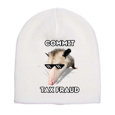Commit Tax Fraud Short Acrylic Beanie