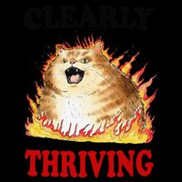 Clearly Thriving Funny Fire Cat Meme Cat Lover Cat Mom Apron