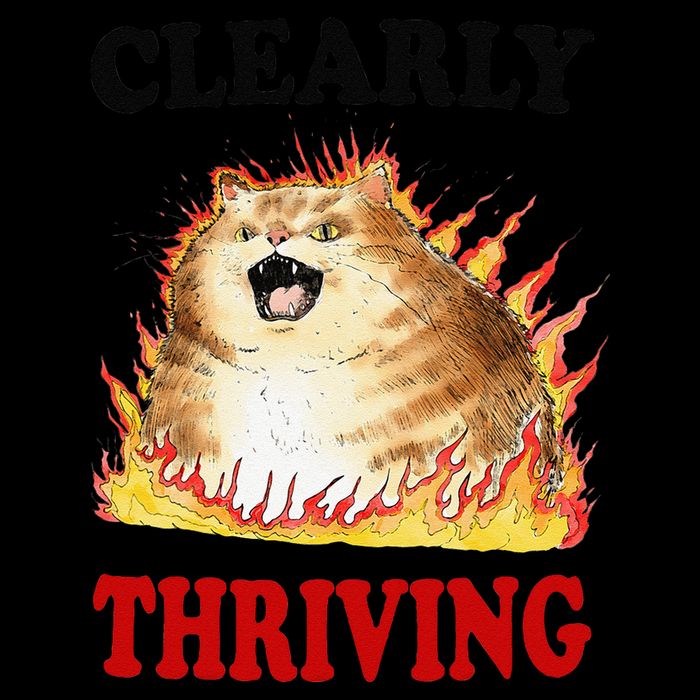 Clearly Thriving Funny Fire Cat Meme Cat Lover Cat Mom Apron