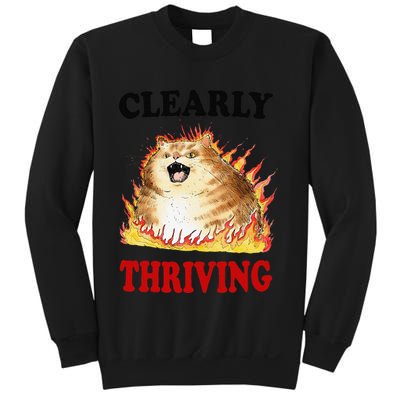 Clearly Thriving Funny Fire Cat Meme Cat Lover Cat Mom Sweatshirt