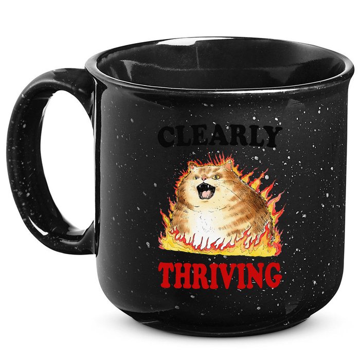 Clearly Thriving Funny Fire Cat Meme Cat Lover Cat Mom 15oz Campfire Ceramic Mug