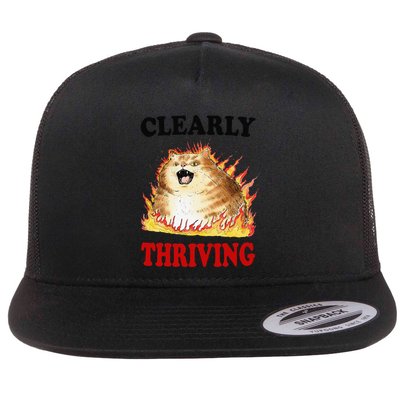 Clearly Thriving Funny Fire Cat Meme Cat Lover Cat Mom Flatbill Hat