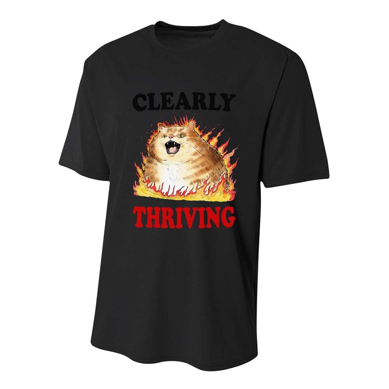 Clearly Thriving Funny Fire Cat Meme Cat Lover Cat Mom Youth Performance Sprint T-Shirt