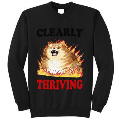 Clearly Thriving Funny Fire Cat Meme Cat Lover Cat Mom Tall Sweatshirt