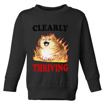 Clearly Thriving Funny Fire Cat Meme Cat Lover Cat Mom Toddler Sweatshirt