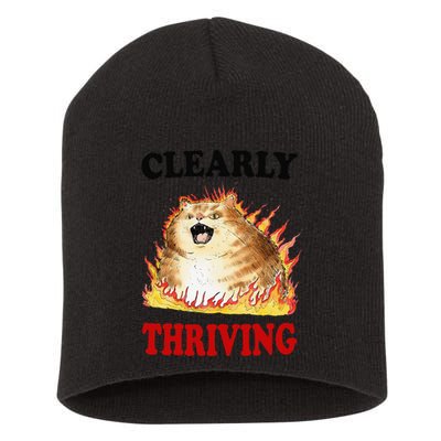Clearly Thriving Funny Fire Cat Meme Cat Lover Cat Mom Short Acrylic Beanie
