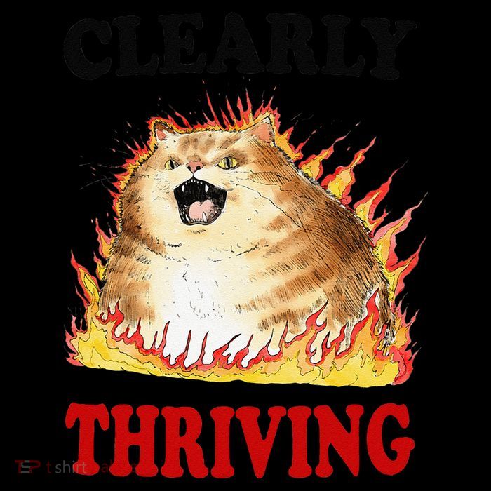 Clearly Thriving Funny Fire Cat Meme Cat Lover Cat Mom Short Acrylic Beanie