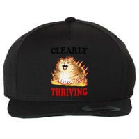 Clearly Thriving Funny Fire Cat Meme Cat Lover Cat Mom Wool Snapback Cap