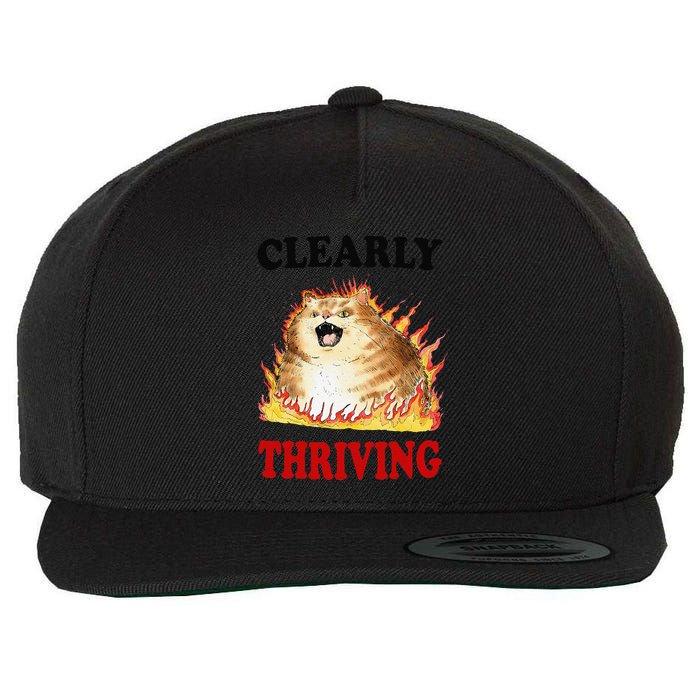 Clearly Thriving Funny Fire Cat Meme Cat Lover Cat Mom Wool Snapback Cap