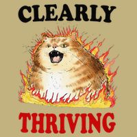 Clearly Thriving Funny Fire Cat Meme Cat Lover Cat Mom Cooling Performance Crew T-Shirt