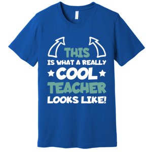 Cool Teacher Funny Saying Teaching Student Gift Premium T-Shirt