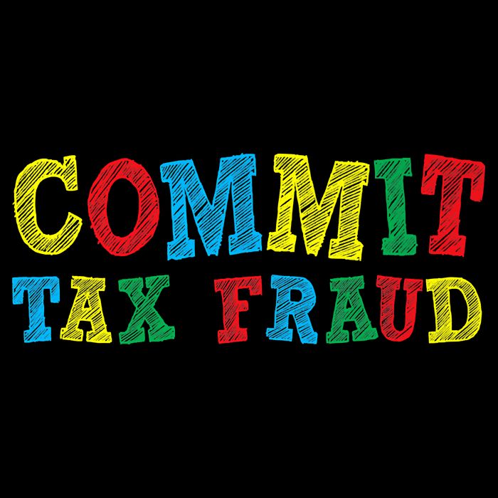 Commit Tax Fraud Funny Wool Snapback Cap
