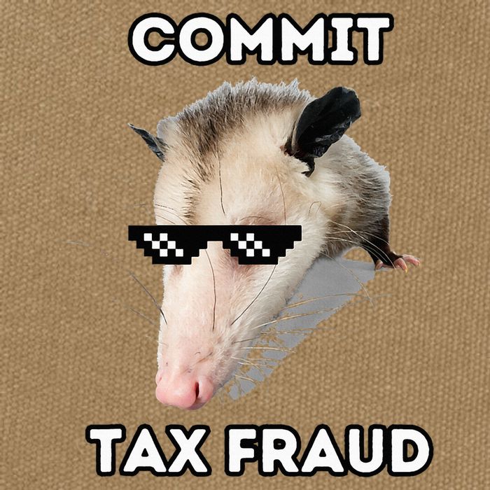 Commit Tax Fraud Cotton Canvas Backpack