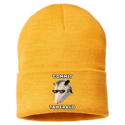 Commit Tax Fraud Sustainable Knit Beanie