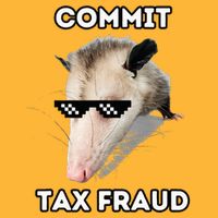 Commit Tax Fraud Pom Pom 12in Knit Beanie