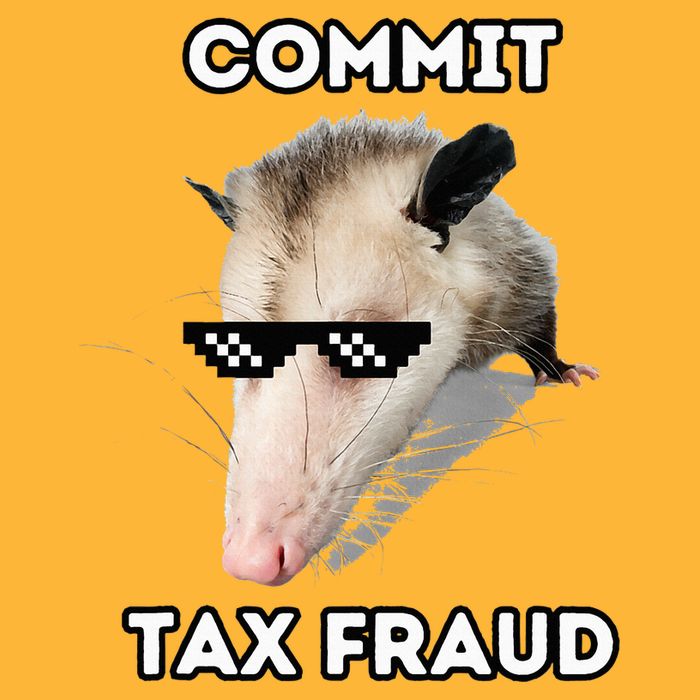 Commit Tax Fraud Pom Pom 12in Knit Beanie