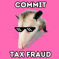 Commit Tax Fraud Stripe Pom Pom Beanie