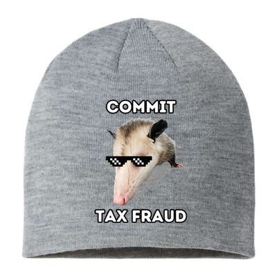 Commit Tax Fraud Sustainable Beanie