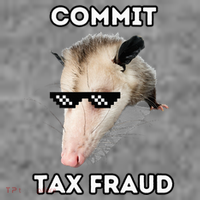 Commit Tax Fraud Tall Hoodie