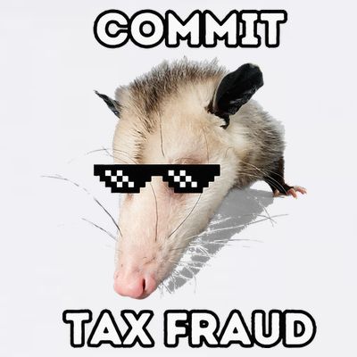 Commit Tax Fraud T-Shirt