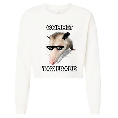 Commit Tax Fraud Cropped Pullover Crew