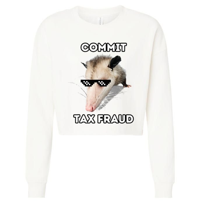 Commit Tax Fraud Cropped Pullover Crew