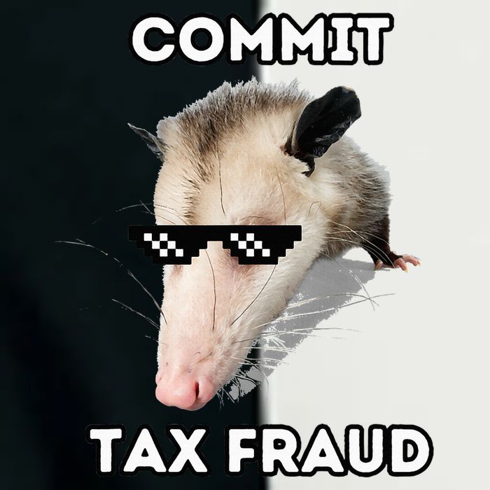 Commit Tax Fraud Infant Baby Jersey Bodysuit
