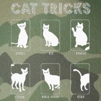 Cat Tricks Funny Kitten Kitty Pet Owner Gift Legacy Tie Dye Trucker Hat
