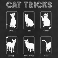 Cat Tricks Funny Kitten Kitty Pet Owner Gift Cool Comfort Performance Bucket Hat