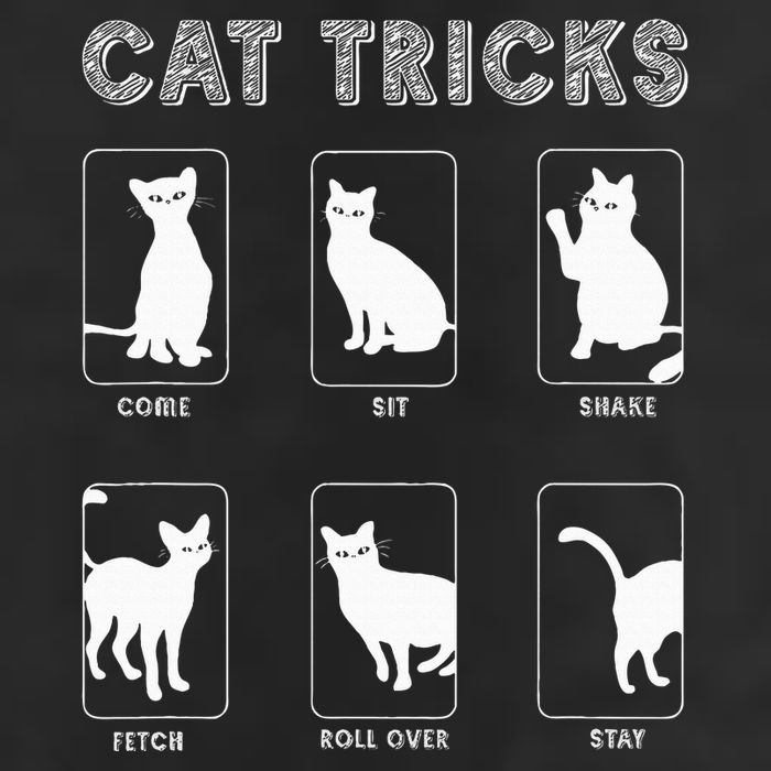 Cat Tricks Funny Kitten Kitty Pet Owner Gift Cool Comfort Performance Bucket Hat