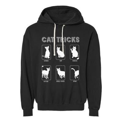 Cat Tricks Funny Kitten Kitty Pet Owner Gift Garment-Dyed Fleece Hoodie