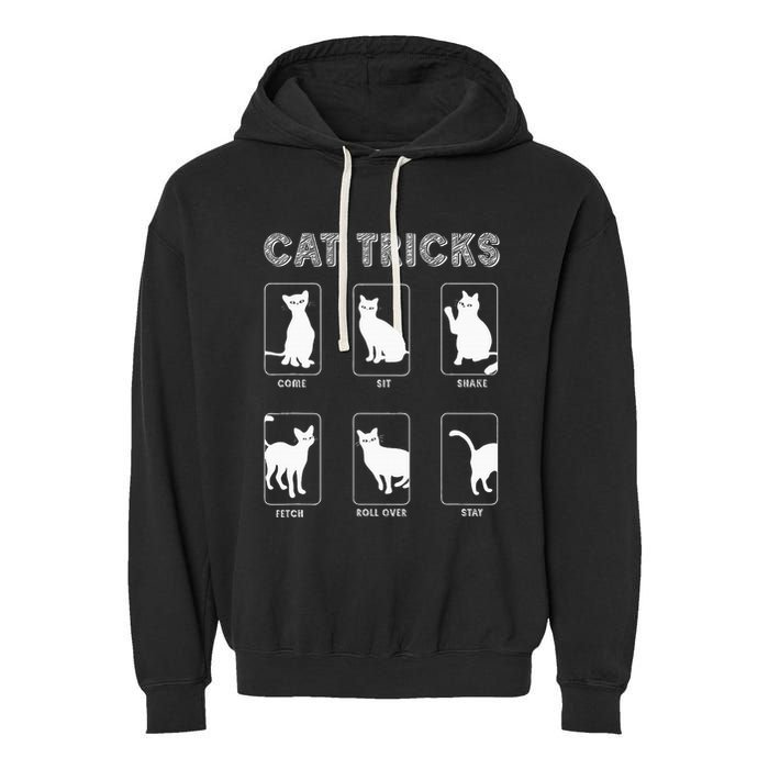 Cat Tricks Funny Kitten Kitty Pet Owner Gift Garment-Dyed Fleece Hoodie