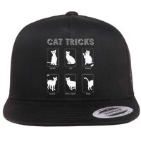 Cat Tricks Funny Kitten Kitty Pet Owner Gift Flat Bill Trucker Hat