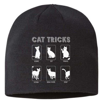 Cat Tricks Funny Kitten Kitty Pet Owner Gift Sustainable Beanie