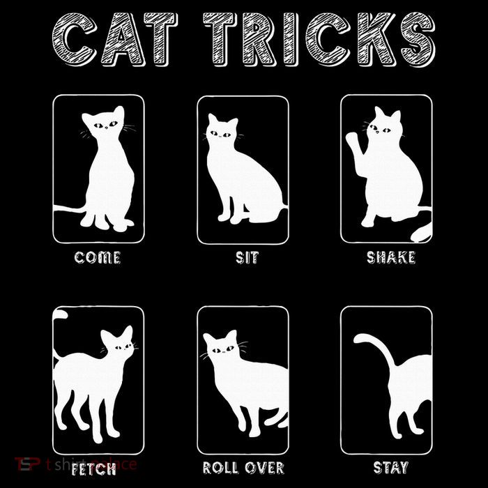 Cat Tricks Funny Kitten Kitty Pet Owner Gift Magnet