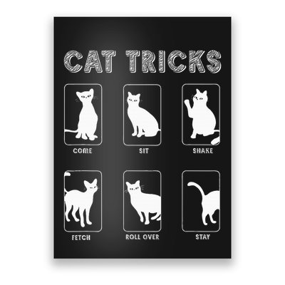 Cat Tricks Funny Kitten Kitty Pet Owner Gift Poster