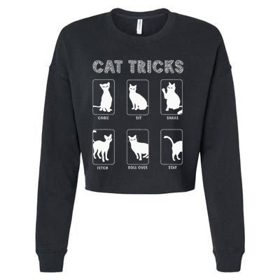 Cat Tricks Funny Kitten Kitty Pet Owner Gift Cropped Pullover Crew