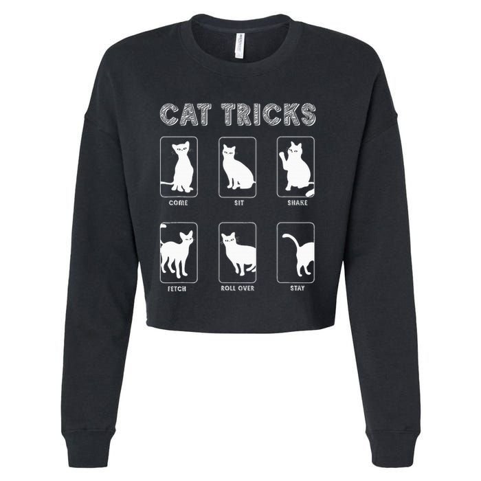 Cat Tricks Funny Kitten Kitty Pet Owner Gift Cropped Pullover Crew