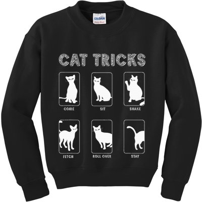 Cat Tricks Funny Kitten Kitty Pet Owner Gift Kids Sweatshirt