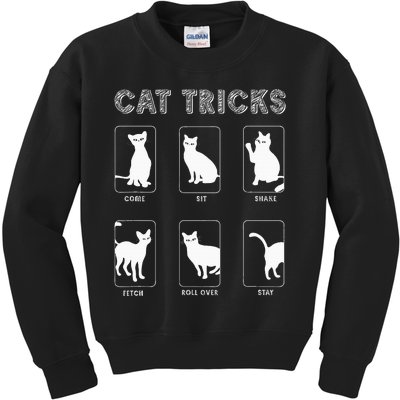 Cat Tricks Funny Kitten Kitty Pet Owner Gift Kids Sweatshirt